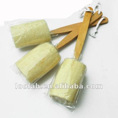 China natural loofah loofah/wholesale loofah/luffa for sale