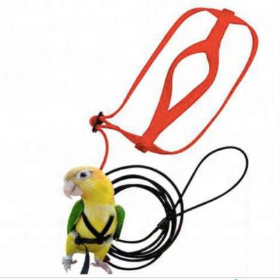 China Viable Bird Flight Harness for Parrot Adjustable Flying Leash for Macaw // African Gray Cockatoos for sale