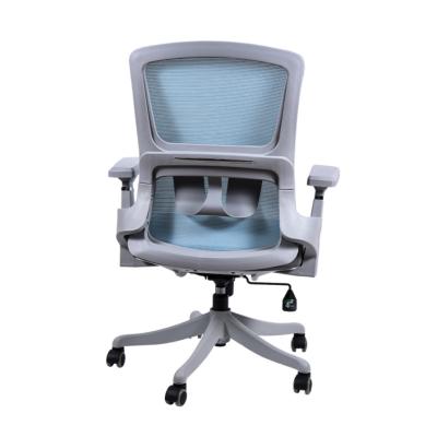 China (Size) Mesh Ergonomic Lumbar Support Adjustable Breathable Office Home Chair for sale