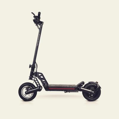 China Wholesale ODM/OEM Unisex Foldable Scooter 800W 10