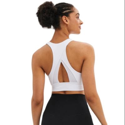 China Hot sexy sexy cross two-piece cross solid color sports yoga wireless padded shockproof bra for sale