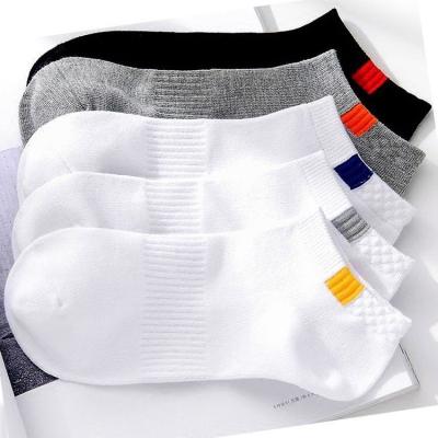 China 2022Hot Sale Fashion Cotton Men Antibacterial Solid Color Breathable Low Ankle Sports Cropped Socks for sale