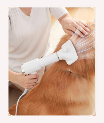 China Pet Hair Grooming 3 in 1 Pet Dryers + Professional Dog Brush + Massager, Adjustable Pet Blowing Hair Dryer for sale