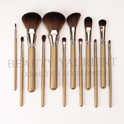 China 12piece Synthetic Makeup Brush Set Beginner Makeup Brush Kit Skin Friendly for sale