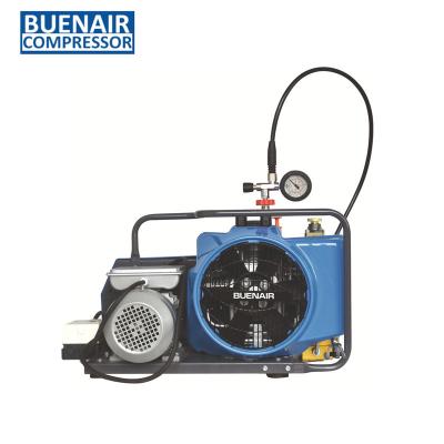 China Luxury scuba diving air compressor for breathing air 100L 200L 300L for sale