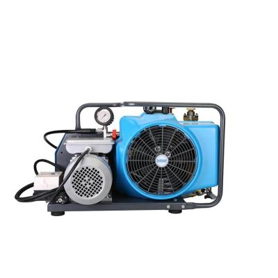 China Buenair High Quality Piston Lubricated Diving Breathing Air Compressor for sale