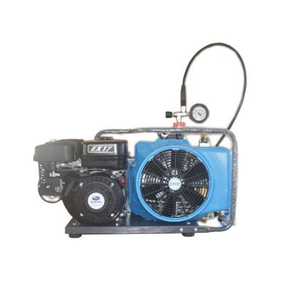 China Mini portable air cooling lubricated compressors for swimming or fire fighting. for sale