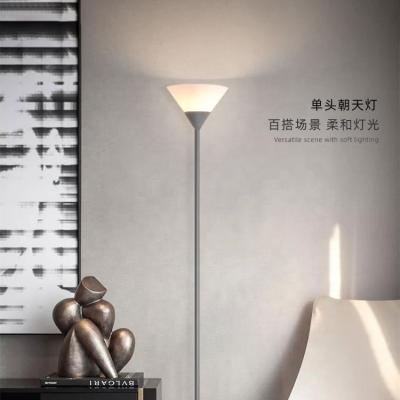 China New-designed double-headed floor lamp factory direct sales for a variety of scenes for sale