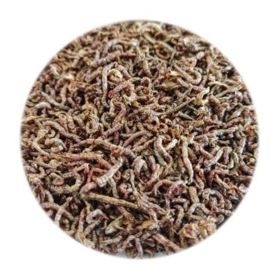 China Sustainable support customized high-nutrition, high protein bulk pure freeze-dried bloodworms 6kg/carton for fish for sale