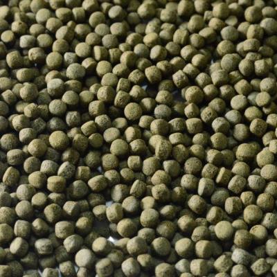 China Koi Color Enhancer Pellets Spirulina Granules Support Sustainable High-Nutrient & High-Protein Customized for sale