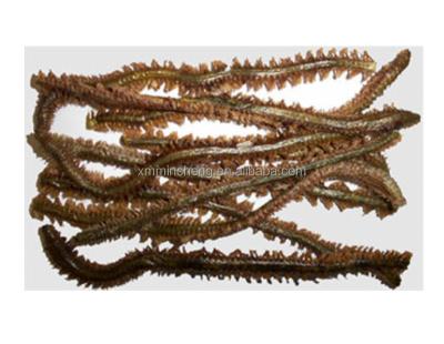 China Viable High Quality Fish Food Freeze Dried Polychaete for sale