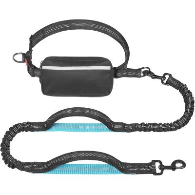 China Sustainable Pets Supplies Walking Jogging Running Padded Double Handles Durable Hands Free Nylon Dog Leash for sale