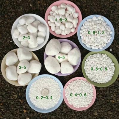 China Modern High Quality Polished White Pebble Stone For Garden for sale