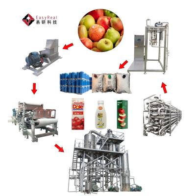 China Automatic Fruit Apple Pear Juice and Baby Food Puree Product Processing Line Production Plant Making Machine for sale