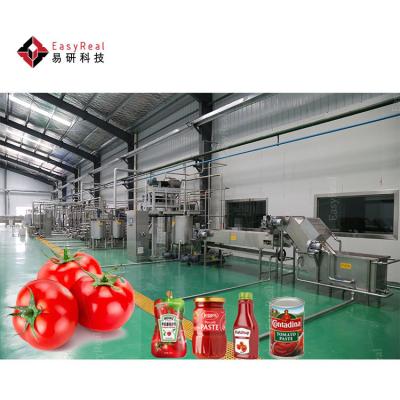 Cina Small Turykey Industrial Tomato Paste Processing Line Machine Tomato Ketchup Production Line in vendita