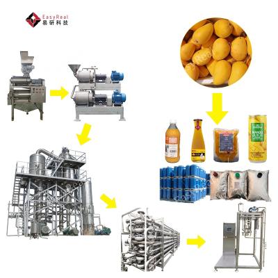 China Automatic Mango Juice Processor Mango Pulp Produce Machinery Plant Processing Line with Layout for sale