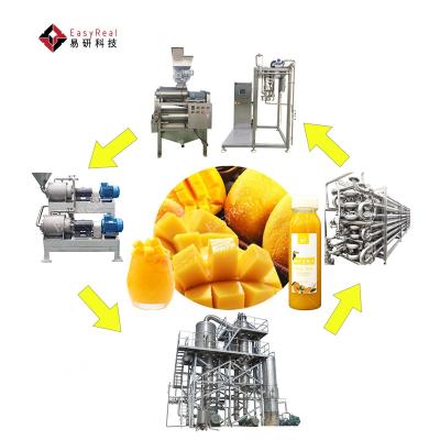 China Industrial Small Mini Line Mango Puree Juice Machine Processing Line Plant Equipment Te koop