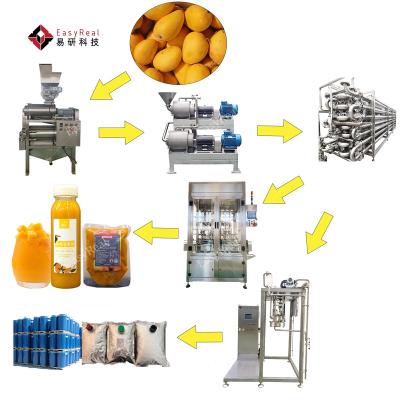 China Automatic Small Size Mango Puree Pulp Juice Processing Plant Making Machine at Good Price à venda