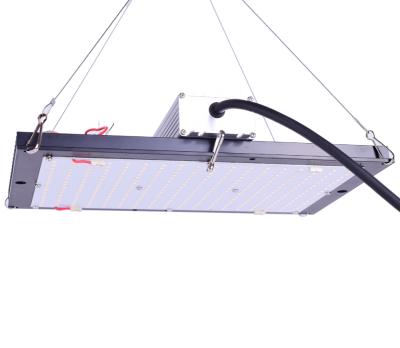 China Seed Starting 120w 240w Led Grow Light Panel Full Spectrum 340x260mm Lamp for sale