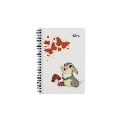 China Customizable Spiral Cartoon Rabit Metal Coil A5 Plastic Notebook Bulk Spiral Notebooks for sale