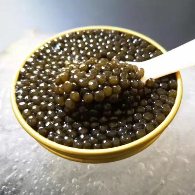 China Sale High Quality Fresh Sturgeon Caviar 10G Sturgeon Caviar Dongjiang Lake Liangmei Manufacturer for sale