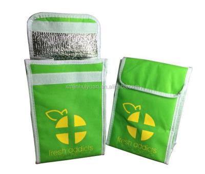 China Fruit Food Delivery Insulated Vegetable Non Woven Cooler Bag Cooler Bag For Food for sale