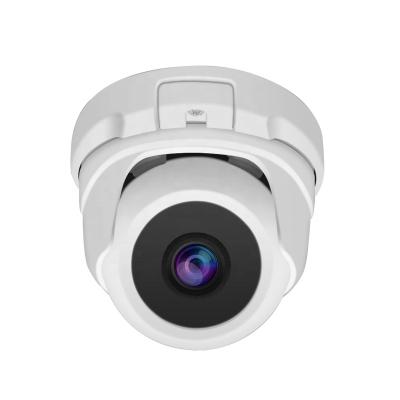 China Optional NIGHT VISION Metal Case 3MP IR Night Vision PoE Dome CCTV Camera for sale