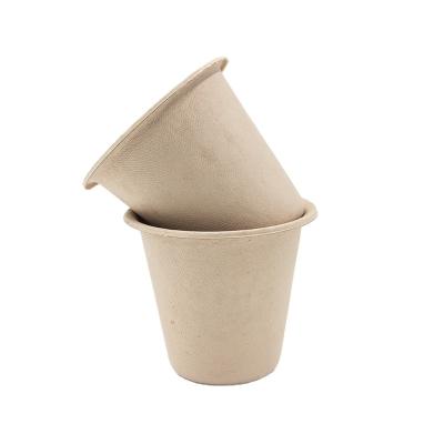 China Eco - Friendly Disposable Paper Cup Single Wall Hot Cold Beverage Cups For Drinking for sale