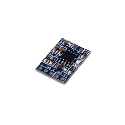 China YS-409 XD-58B HXJ8002 Audio Amplifier Module for sale