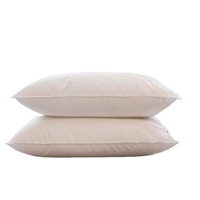 China Foldable Top Competitive Cheap White Cotton Or Hotel White Goose Feather Down Pillow Quilted Box Down Pillow for sale