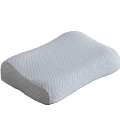 China Comfortable And Breathable Sleep Anti-mite Memory Foam Pillow Foldable / Queen / Large Standard for sale