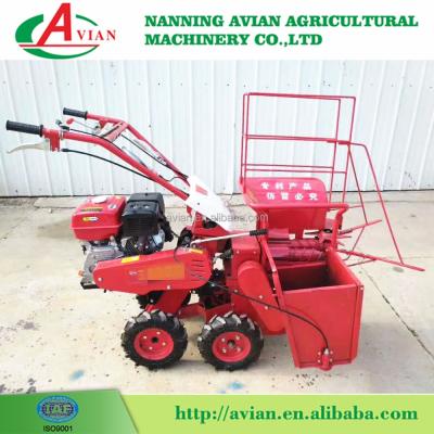 China Gasoline 2-Stroke 13HP Mini Maize Harvester / One Row Maize Maize Harvester Harvester for sale