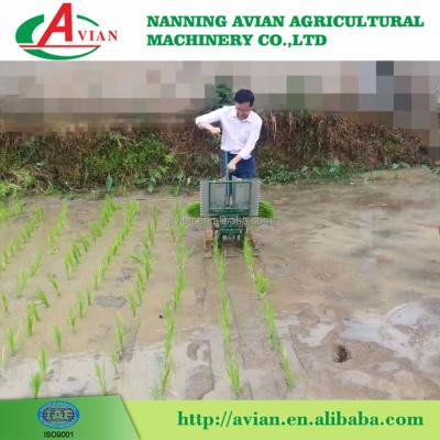 China 2 Rows Rice Transplanter Hot Sale Farm Machinery Good Price/Rice Planting Machine Paddy Rice Transplanter for sale