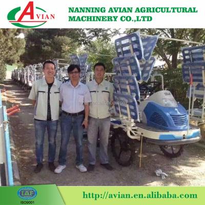 China Paddy Transplanter China rice transplanter rice field AVIAN transplanter/with good price for sale