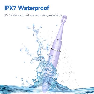 China ABS (glossy or UV paint) Intelligent Travel Portable Toothbrush IPX7 Rechargeable via USB Customizable Logo OTM Adult Sound Wave Electric Cleaning for sale