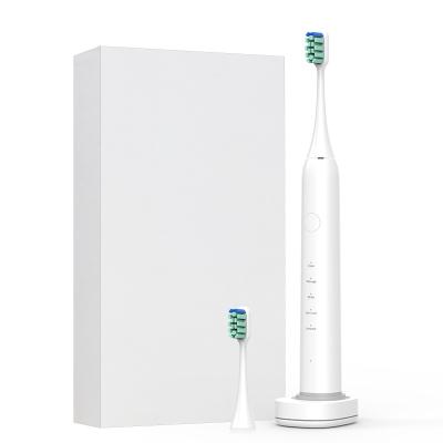 China ABS Oem/Otm High Quality Adult Electric Toothbrush Ipx7 Wireless Charging Ultrasonic Electric Toothbrush From Shenzhen Factory for sale