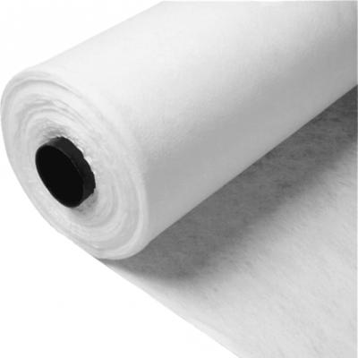 China Breathable Breathable White Polypropylene Nonwoven Plant Protection Covers PP Nonwoven Blanket Agricultural Antifreeze Layer for sale