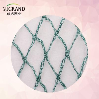 China HDPE/PP Nylon Pheasant Net Anti Bird Net Anti Bird Catch Net for sale