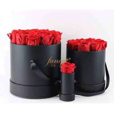 China preserved roses in gift box PG-01 for sale