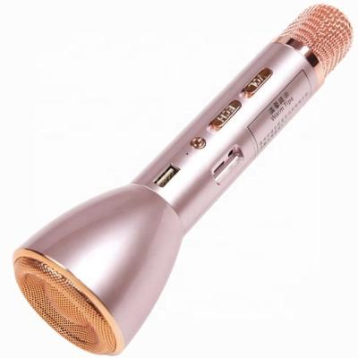 China Portable Wireless Microphone Wireless Speaker Karaoke Wireless Speaker for sale