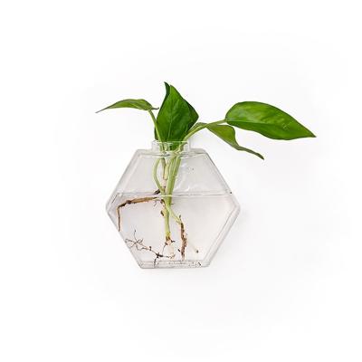 China Factory Direct OEM Glass Planter from Contemporary Mini Greenhouse Wall Hanging--Hexagon Shape Hanging Glass Vase for sale