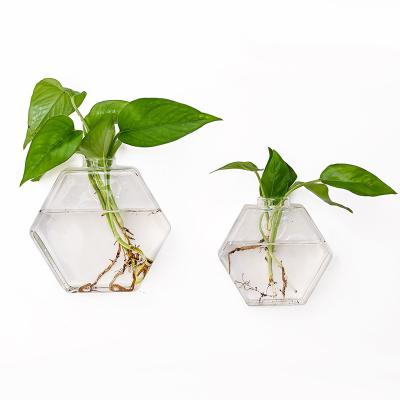 China Live Arrangement Clear Glass Plant Wall Hung Succulent Container Eco-friendy Mini Hexagon Glass Greenhouse Vase for sale