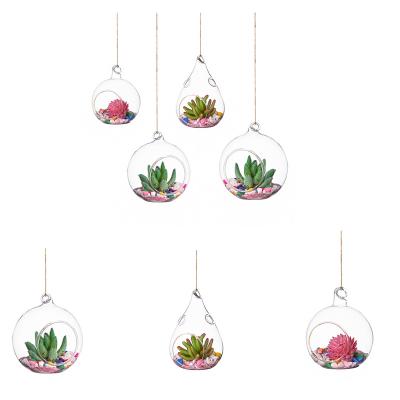 China Japan Glass Container for Glass Succulent Handmade Mini Greenhouse Borosilicate Plant Hanging Glass Vase for sale