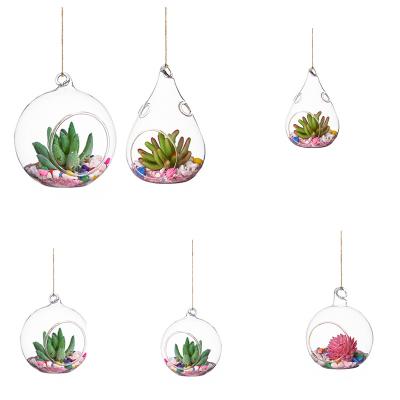 China Europe Drop Open Mini Globe Mini Greenhouse Air Plants Clear Glass Ball Ornament for sale