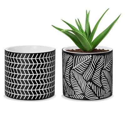 China Simply Succulent Pots 5 in. Diameter 2 Pack Modern Cement Cactus Flower Aloe Snake Plant Planter for sale