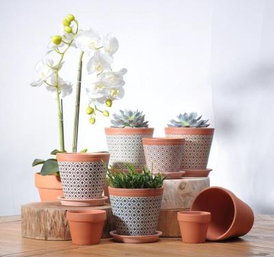 China Modern Custom Style Indoor Cheap Gridding Succulent Plant Flower Pot In Terracotta With Saucer for sale