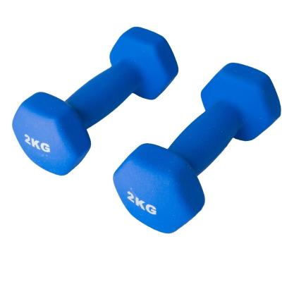 China Durable Solid Color Cheap Fitness Equipment Dumbbell Frosted Soft Outdoor Hex Dumbbells Set for sale