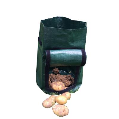 China Cheap Price Customized PE Garden Plant Nursery Potato Grow Bags Potato Plant Bag for sale