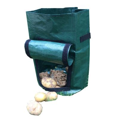 China PE High Performance Windproof Resistance Cold Potato Planting Bag for sale