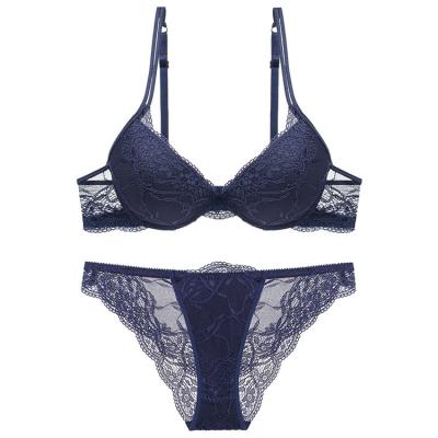 China Breathable Best Selling Sexy Deep V Lace Bra Set Gather Sexy Adjustable Underwear Bra Push Ups Bra And Panty Sets for sale